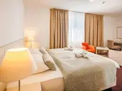 Hotel Borovnik