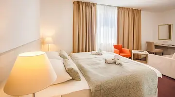 Hotel Borovnik
