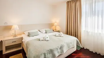 Hotel Borovnik