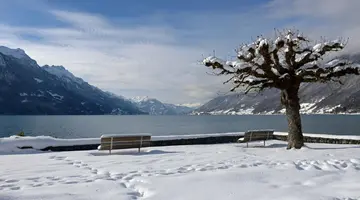Hotel Brienz