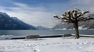 Hotel Brienz