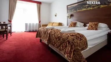 Hotel Buczynski Medical & Spa