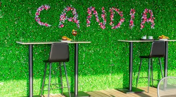 HOTEL CANDIA
