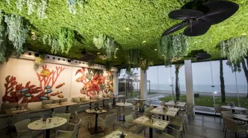 Hotel Cap Negret