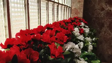Hotel Carmen Teresa