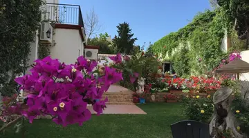 Hotel Carmen Teresa