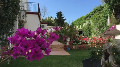 Hotel Carmen Teresa