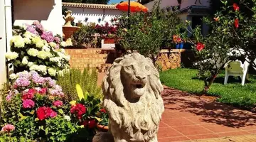 Hotel Carmen Teresa