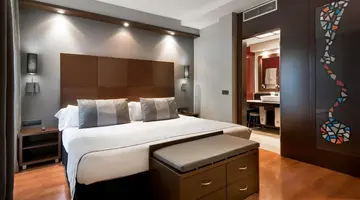 HOTEL CATALONIA GOYA