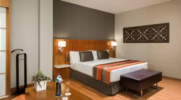 HOTEL CATALONIA PUERTA DEL SOL