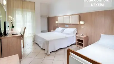 Hotel Cormoran