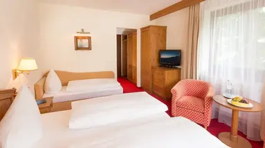 Hotel Dachstein