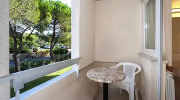 Hotel Delfin Plava Laguna