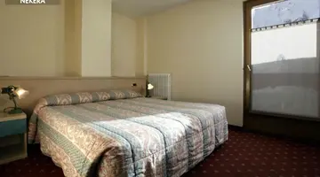 HOTEL DELLE ALPI
