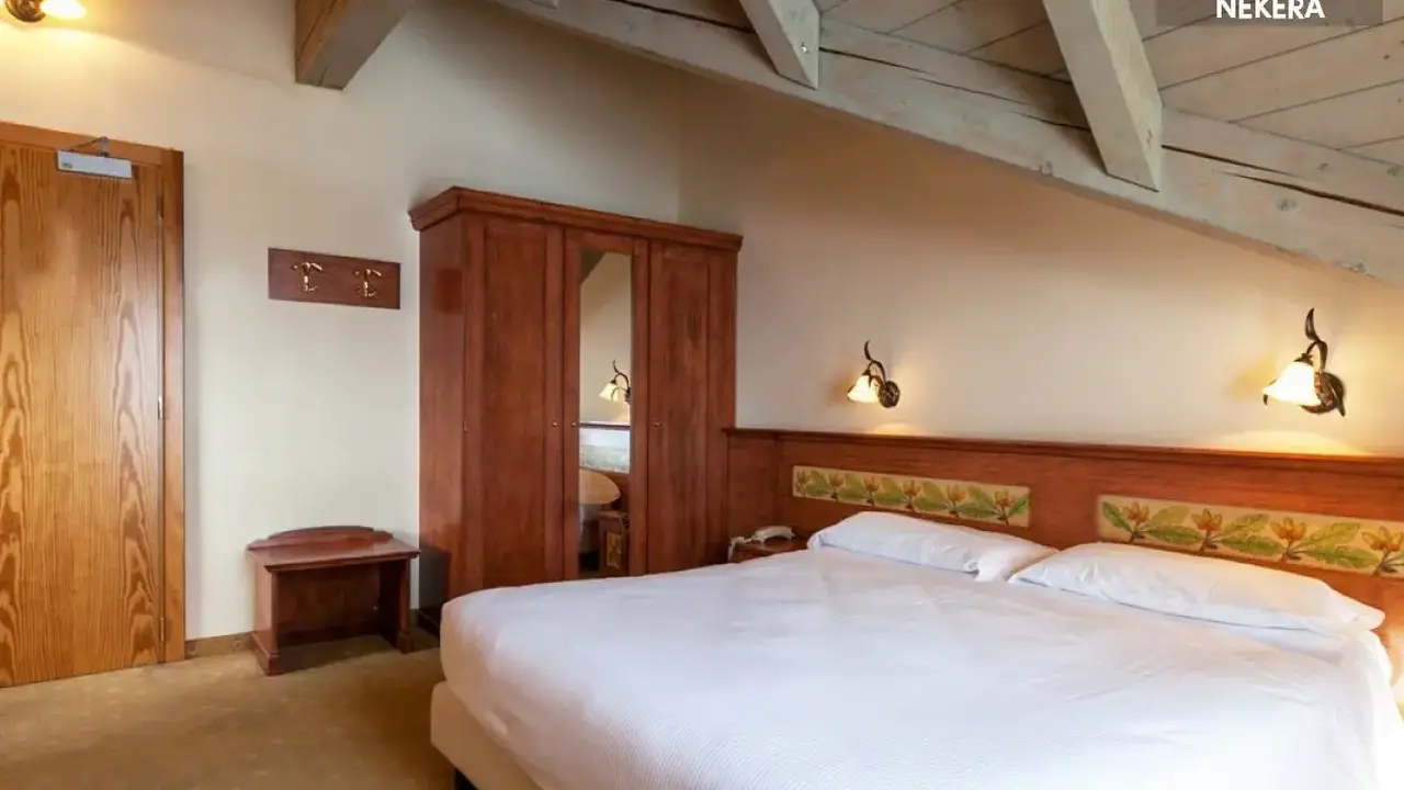 HOTEL DELLE ALPI