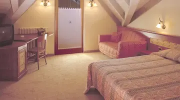 Hotel delle Alpi