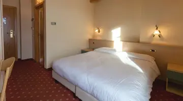 Hotel delle Alpi
