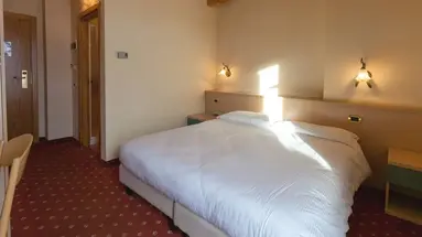 Hotel delle Alpi
