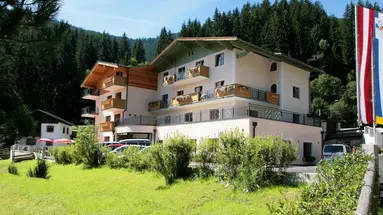 Hotel Der Schmittenhof