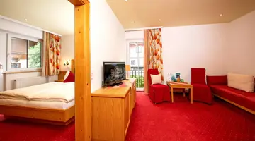 Hotel Der Schmittenhof