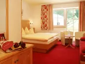 Hotel Der Schmittenhof