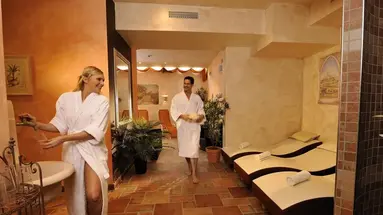 Hotel Der Schmittenhof