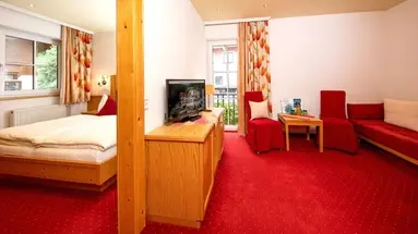 Hotel Der Schmittenhof