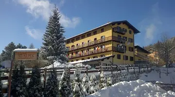 Hotel Des Alpes