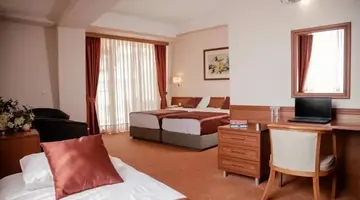 Hotel Drim