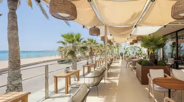 Hotel Eden Palma Playa
