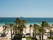 Hotel El Palmeral