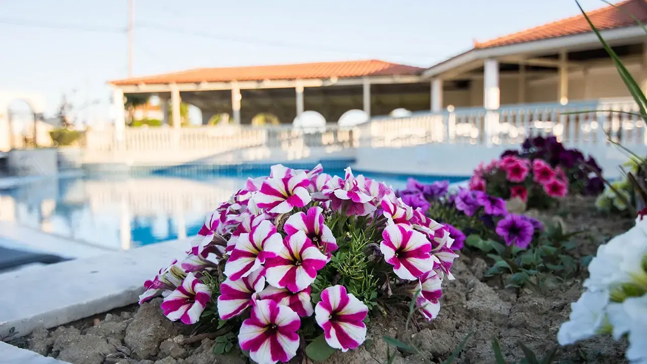 Hotel Exotica Hotel & Spa by Zante Plaza