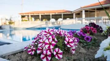 Hotel Exotica Hotel & Spa by Zante Plaza