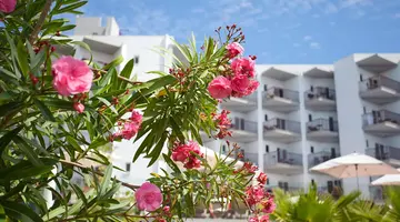 HOTEL FERGUS BERMUDAS
