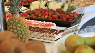 Hotel Gran Garbi