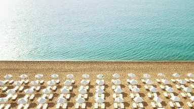 Hotel GRIFID Foresta
