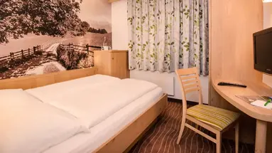 Hotel Grüner Baum