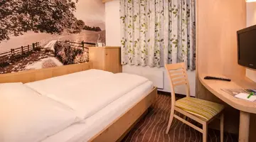 Hotel Grüner Baum
