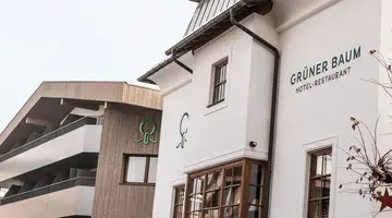 Hotel Grüner Baum