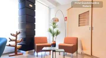 Hotel Guadalmedina