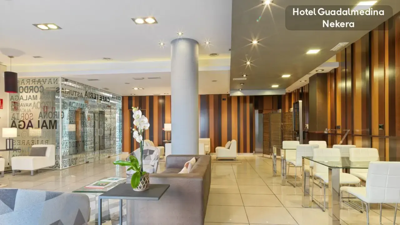 Hotel Guadalmedina