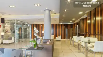 Hotel Guadalmedina