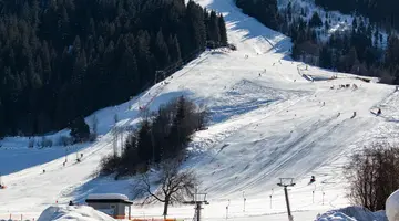 Hotel Harfenwirt