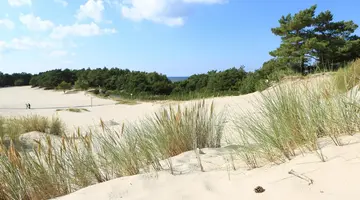 Hotel Havet Resort & Spa