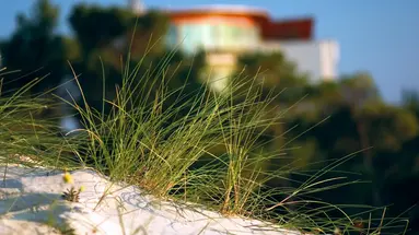 Hotel Havet Resort & Spa