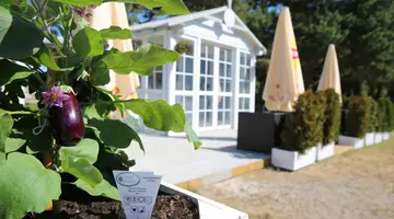 Hotel Havet Resort & Spa