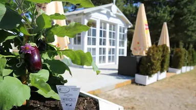 Hotel Havet Resort & Spa