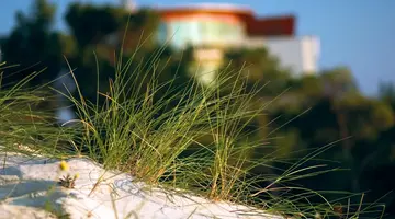 Hotel Havet Resort & Spa