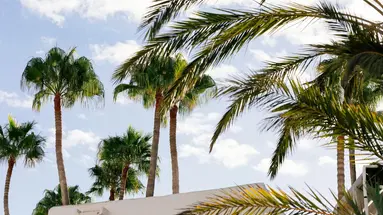Hotel HD Parque Cristobal Tenerife