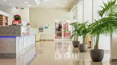Hotel Hedera